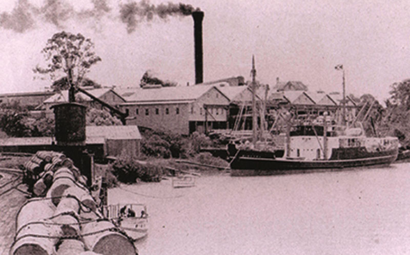 Wilson Hart Sawmill on Brolga site 1938