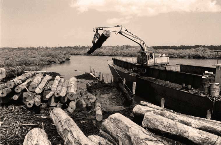 Last Load of Logs from Fraser Island